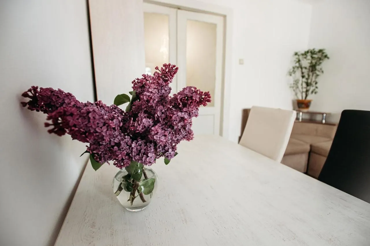 Apartment Апартаменти Для Великої Компанї В Центрі Міста Lviv