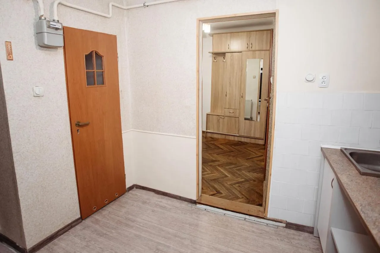 Apartment Апартаменти Для Великої Компанї В Центрі Міста Lviv